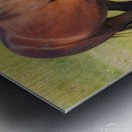 Nevada Virginia Range Series 6 Metal print