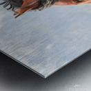 Nevada Virginia Range Series 10 Metal print