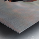 Nevada Virginia Range Series 11 Metal print