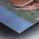 Nevada Virginia Range Series 13 Metal print