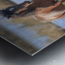 Nevada Virginia Range Series 14 Metal print