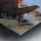 Nevada Virginia Range Series 15 Metal print