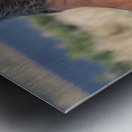 Nevada Virginia Range Series 16 Metal print