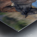 Nevada Virginia Range Series 25 Metal print