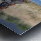 Nevada Virginia Range Series 26 Metal print