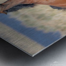 Nevada Virginia Range Series 27 Metal print