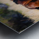 Nevada Virginia Range Series 29 Metal print