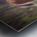 Nevada Virginia Range Series 31 Metal print