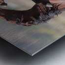 Nevada Virginia Range Series 32 Metal print