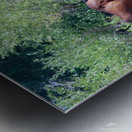 Nevada Virginia Range Series 37 Metal print