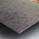 Mono Lake Wild Horse Series 1 Metal print