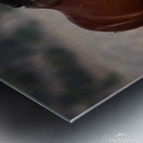 Mono Lake Wild Horse Series 1 Metal print