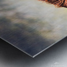 Mono Lake Wild Horse Series 1 Metal print