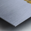 Mono Lake Wild Horse Series 1 Metal print