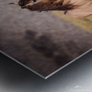 Mono Lake Wild Horse Series 1 Metal print