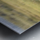 Mono Lake Wild Horse Series 1 Metal print