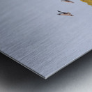 Mono Lake Wild Horse Series 1 Metal print