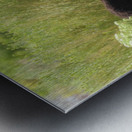 Marietta Wild Burro Range HMA 1 Metal print