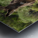 Marietta Wild Burro Range HMA 1 Metal print