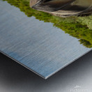 Marietta Wild Burro Range HMA 1 Metal print