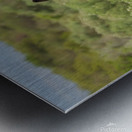 Marietta Wild Burro Range HMA 1 Metal print