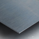 Marietta Wild Burro Range HMA 1 Metal print