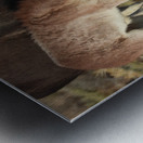 Marietta Wild Burro Range HMA 2 Metal print