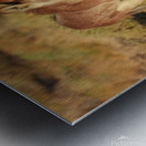 Marietta Wild Burro Range HMA 1 Metal print