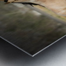 Nevada Mustang series 4 1 Metal print