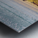 Nevada Mustang series 6 1 Metal print