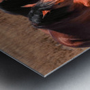 Nevada Mustang series 7 1 Metal print