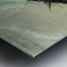 Nevada Mustang series 8  1 Metal print