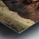 Nevada Mustang series 10 1 Metal print