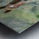 Nevada Mustang series 11 1 Metal print