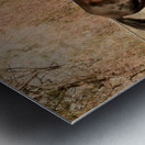 Nevada Mustang series 14 1 Metal print