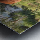 Nevada wild 3 Metal print