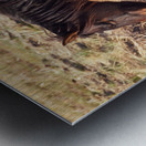 Nevada wild 5 Metal print