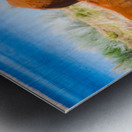 Nevada wild 6 Metal print