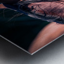 Nevada wild 2 Metal print