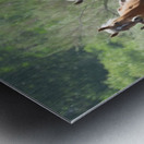 Nevada wild 2 1 Metal print