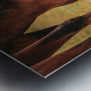 Nevada wild 1 1 Metal print