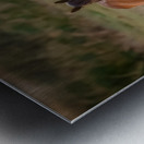 Nevada wild  Series VR1 2 Metal print