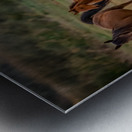 Nevada wild  Series VR1 3 Metal print