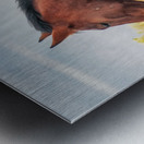 Nevada Mustang Series 17 1 Metal print