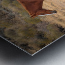 Nevada Mustang Series 16 1 Metal print