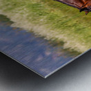 Nevada Mustang 1 1 Metal print