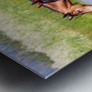 Nevada Mustang 1 2 Metal print