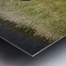 Nevada Mustang 1 5 Metal print