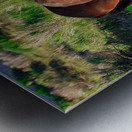 Nevada Mustang 1 6 Metal print