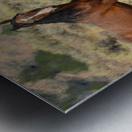 Nevada Mustang 2 2 Metal print